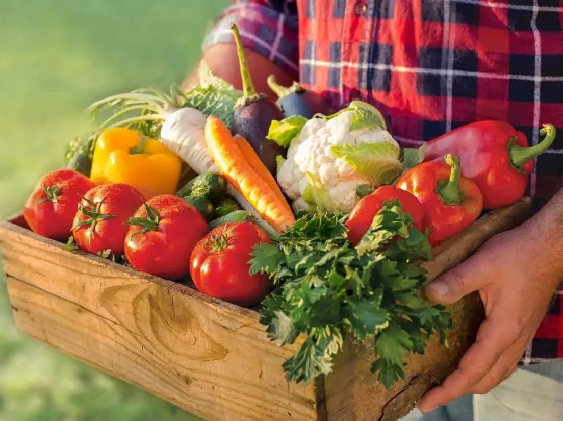 A brown box filled with fresh organic farm vegetables on a wooden bench